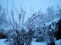 1. Dezember 0093.webp