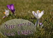 109 Tage.webp