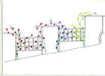 pergola003.webp