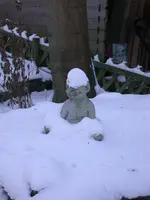 DSCN5345.webp