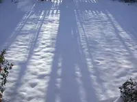 DSCN5333.webp