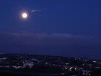 P1000830.webp