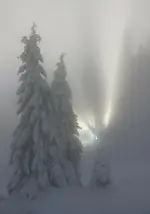 Winter-am-Brocken.webp