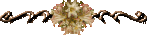alijn002.gif
