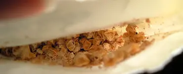 motte2.webp motte2.webp