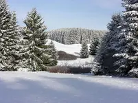 harz-5.webp