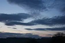 IMG_0003.webp IMG_0003.webp