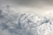 Himmlisch 001.webp Himmlisch 001.webp