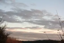 Himmlisch 006.webp Himmlisch 006.webp