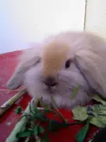 Bild003.webp