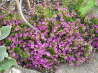 011.webp