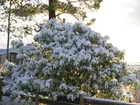 IMGP0569.webp