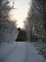 IMGP0619.webp