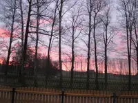 IMG_1530.webp