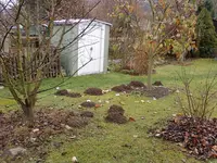 Maulwurf 1.webp
