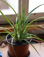 DSC09180.webp
