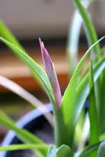 DSC09179.webp