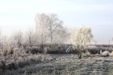 winter6.webp