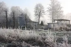 winter 3.webp