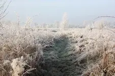 winter2.webp