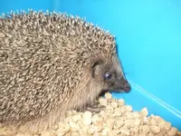 k-DSCF0008.webp