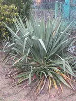 garten 09 004.webp