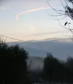 DSCF0303.webp
