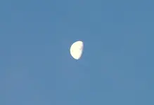 DSCF0309.webp