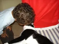 11558.webp