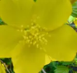 Rätsel16.webp