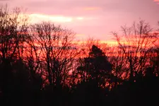 IMG_3148.webp