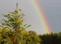 IMG_1259(1).webp