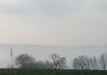DSCF0312.webp