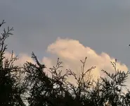 DSCF0313.webp