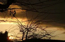 DSCF0314.webp