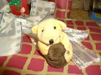 IMGP2324.webp