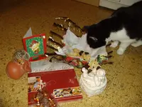 IMGP2330.webp