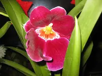 IMG_1090.webp