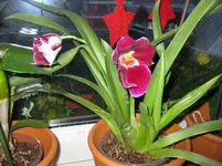 IMG_1092.webp