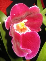 IMG_1094.webp