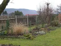 Garten Dez. 2009 024.webp