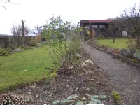 Garten Dez. 2009 026.webp