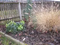 Garten Dez. 2009 027.webp