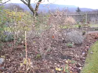 Garten Dez. 2009 028.webp