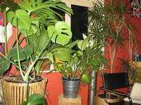 IMG_0002.webp