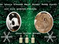 advent1.webp