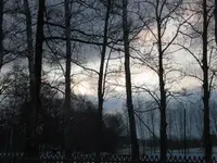 IMG_1559.webp