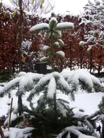 021.webp