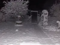 HPIM1922x.webp