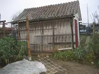 garten 09 002.webp